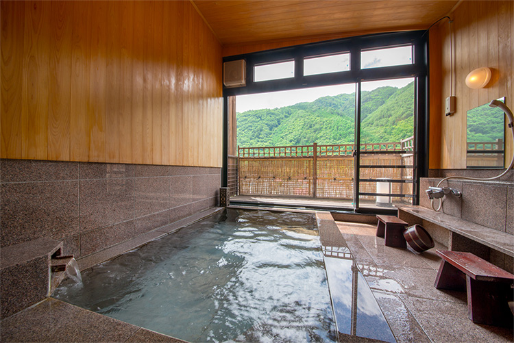 Large Bath with a View